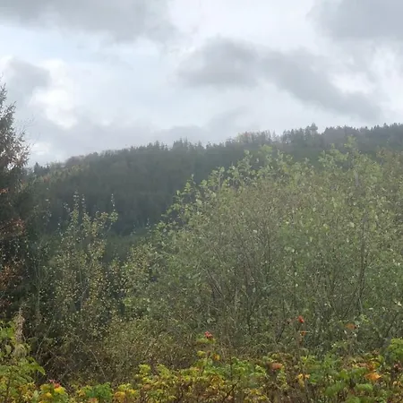 Berg Idyllika * 维林根