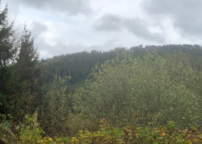 Berg Idyllika * 维林根